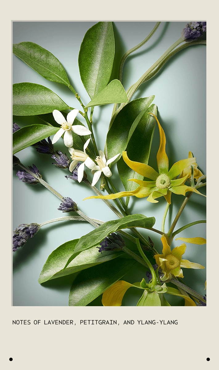 shampure<span class="trade">™</span> nurturing shampoo, 50ml