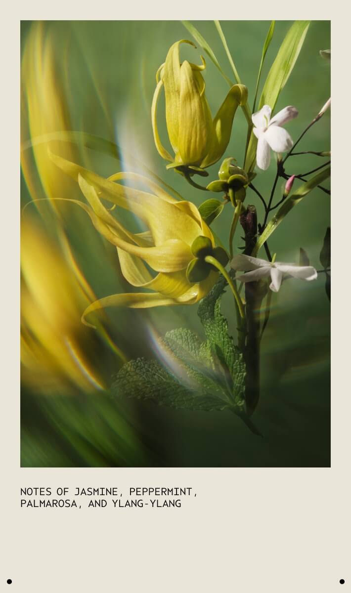 Pure Abundance™ Volumizing Shampoo